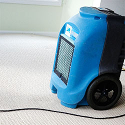 water-damage-Los Angeles